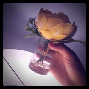 A glass ,that can hold flowers and much more